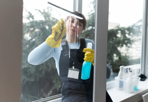 Nettoyage de vitres intérieures et extérieures à Bayel
